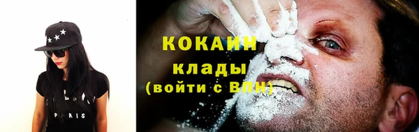 индика Балабаново